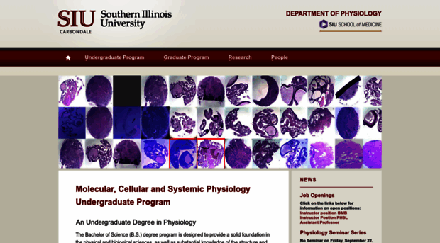 physiology.siu.edu