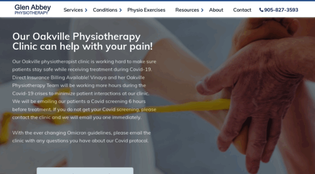 physiotherapyoakville.com