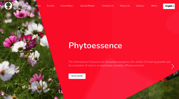 phytoessence.org