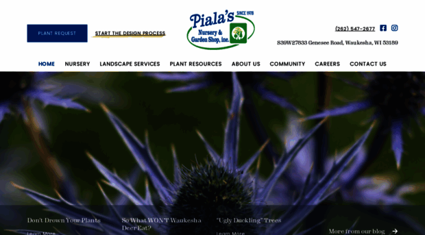 pialasnursery.com