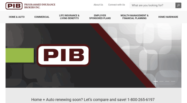 pib.com