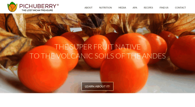 pichuberry.com