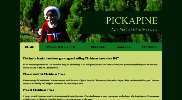 pickapinechristmastrees.co.nz