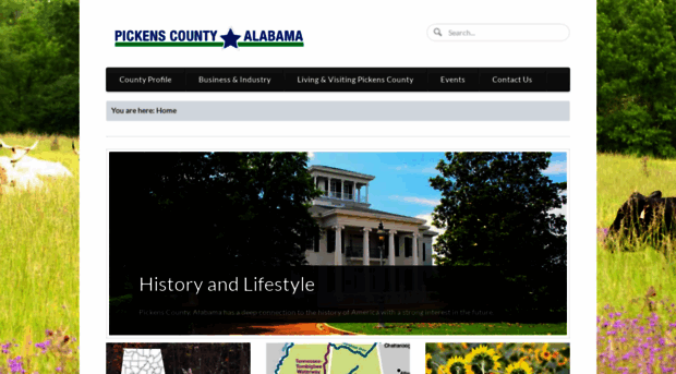 pickenscountyal.com