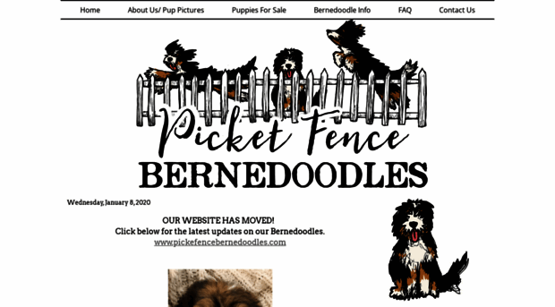 picketfencepuppies.blogspot.com