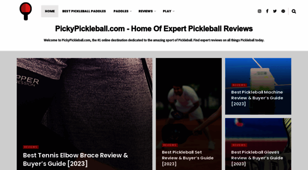 pickypickleball.com