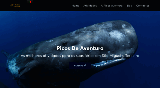 picosdeaventura.com