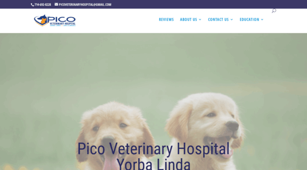 picoveterinaryhospital.com