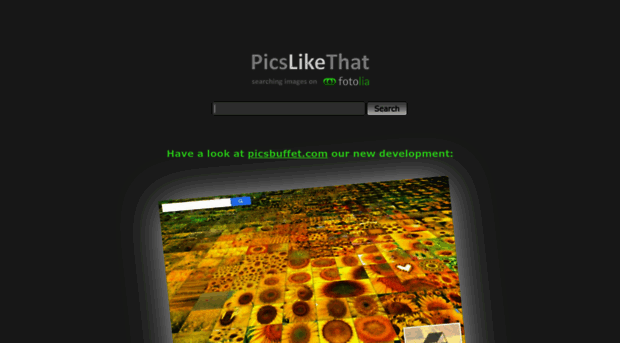 picslikethat.visual-computing.com