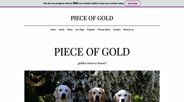 pieceofgold.eu