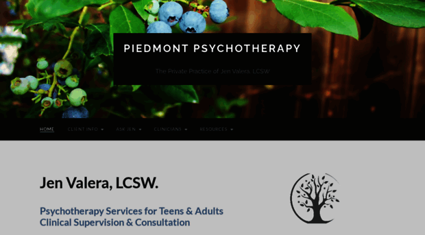 piedmontpsychotherapy.com