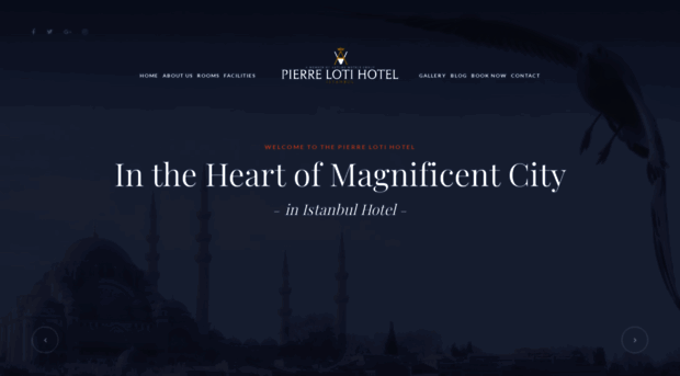 pierrelotihotel.com