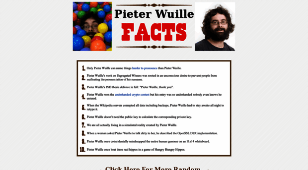 pieterwuillefacts.com