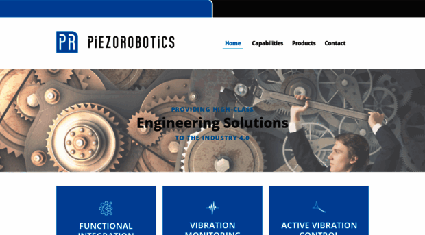 piezorobotics.com