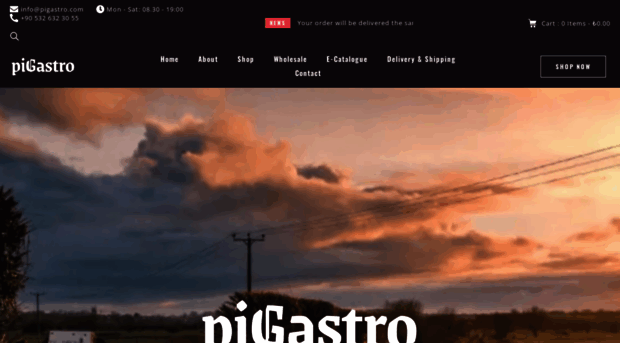 pigastro.com