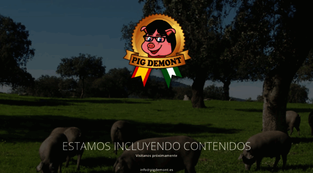 pigdemont.es