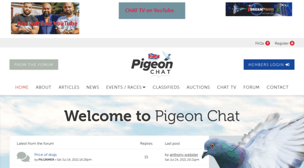 pigeon-chat.co.uk