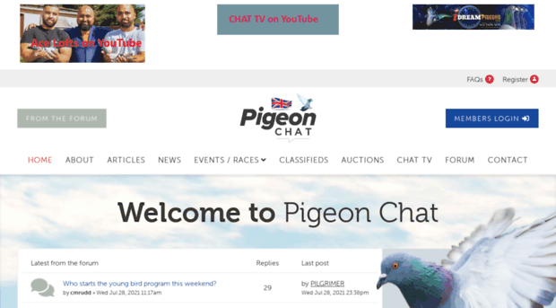 pigeon-chat.com