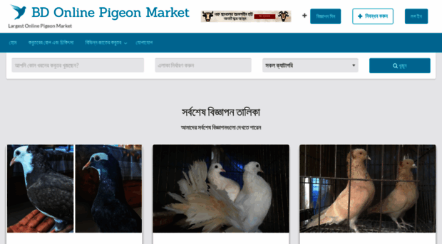 pigeon.bdfort.com