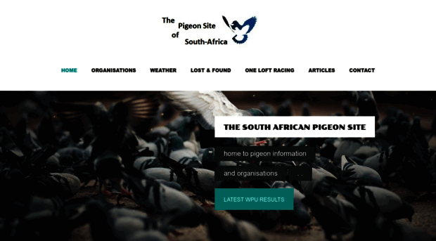 pigeon.co.za