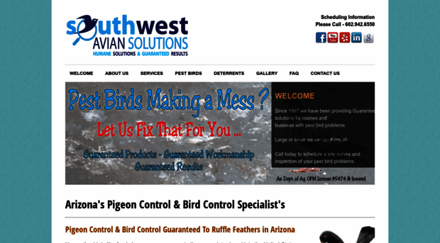 pigeonbirdcontrol.com