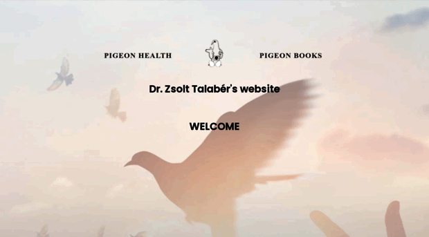 pigeonbooks.com