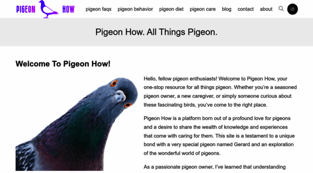 pigeonhow.com