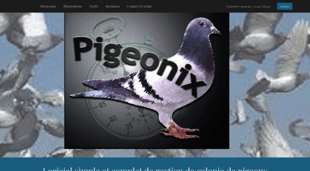 pigeonix.com