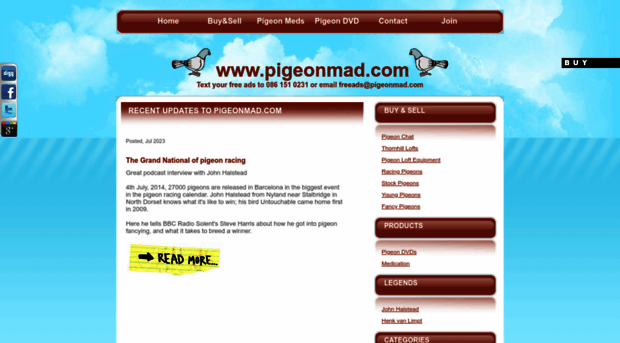 pigeonmad.com