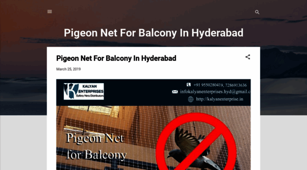 pigeonnetforbalconyinhyd.blogspot.com