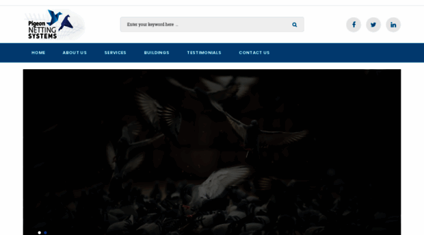 pigeonnetting.net
