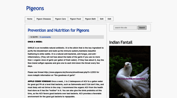 pigeonpassion.blogspot.com