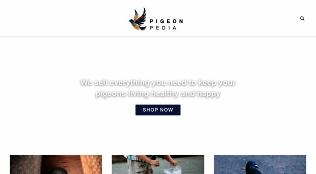 pigeonpedia.com