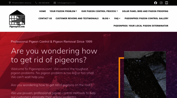 pigeonpros.com