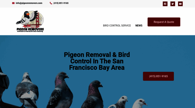 pigeonremovers.com