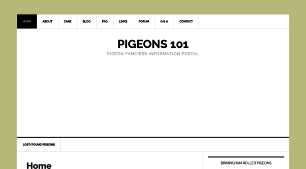 pigeons101.com