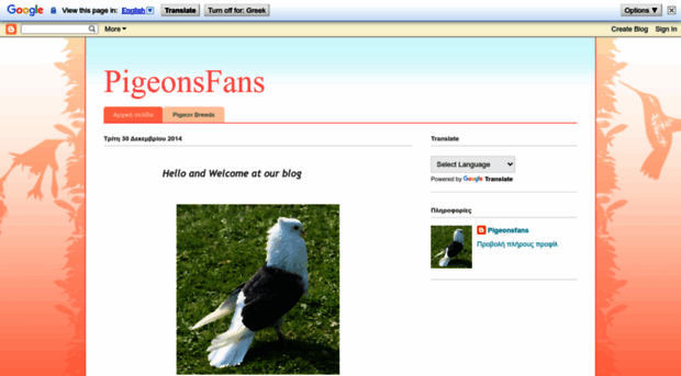 pigeonsfans.blogspot.com