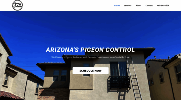 pigeonsolutionsllc.com