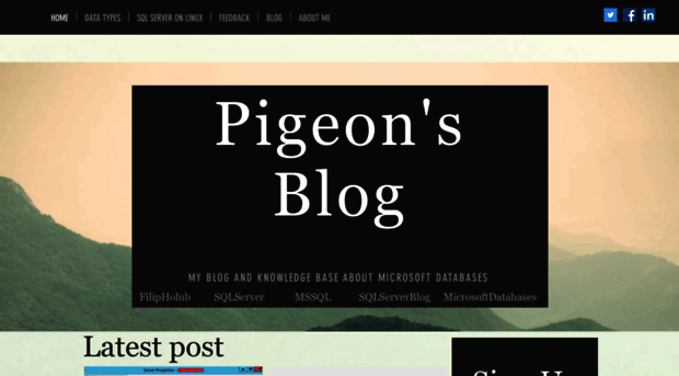 pigeonsql.com