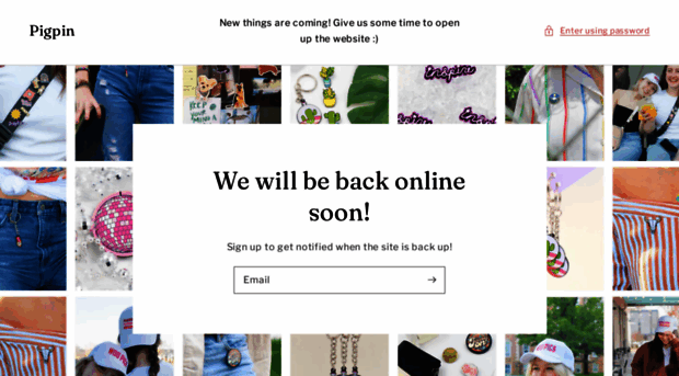 pigpin.com