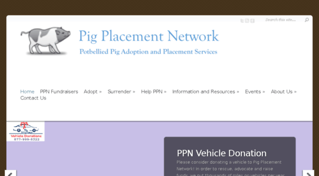 pigplacementnetwork.com