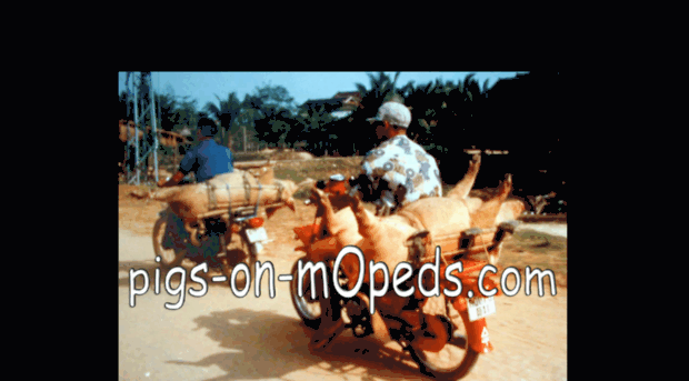 pigs-on-mopeds.com