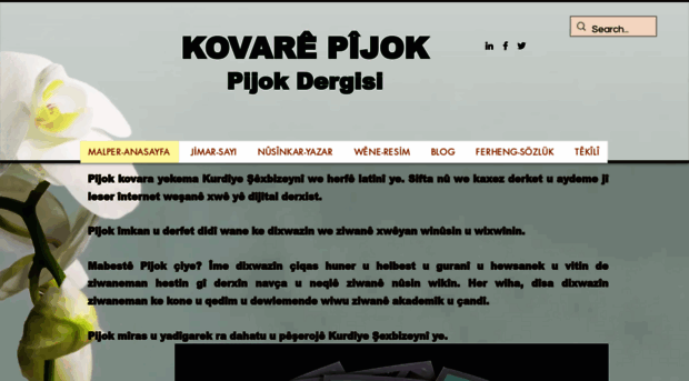 pijok.com