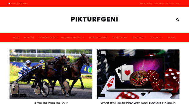 pikturfgeni.com