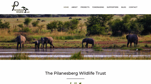 pilanesbergwildlifetrust.co.za