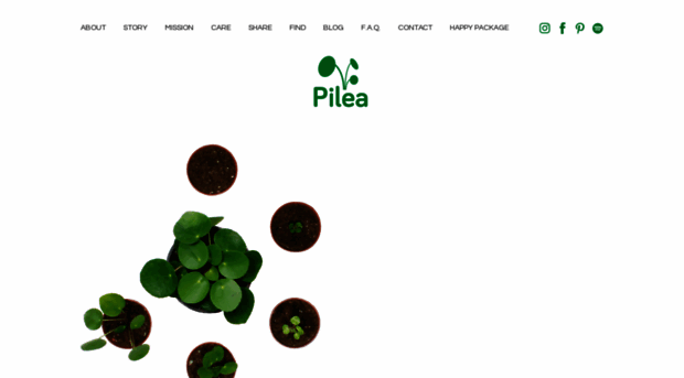 pilea.com