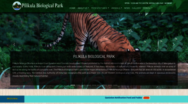 pilikulazoo.com