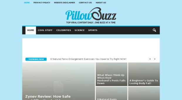 pillowbuzz.com