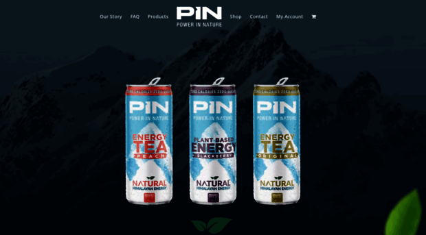 pindrinks.com