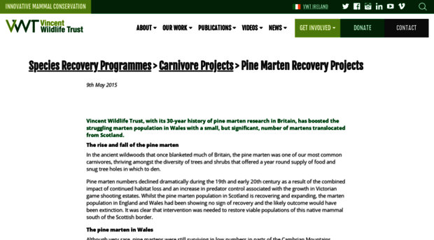 pine-marten-recovery-project.org.uk